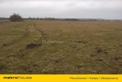 JOJA709 - zdjęcie nr 0