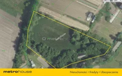 SGNUBO478 - zdjęcie nr 0