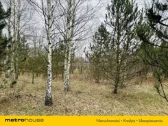 TILI586 - zdjęcie nr 3
