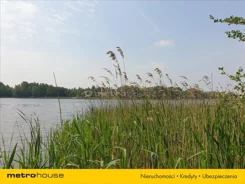 DOCI332 - zdjęcie nr 4