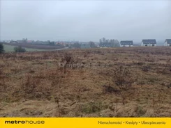 NERU793 - zdjęcie nr 0
