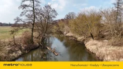 SGJILY957 - zdjęcie nr 2