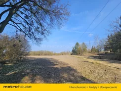 SGNACI328 - zdjęcie nr 3
