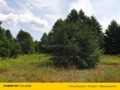 SGPEFE923 - zdjęcie nr 2
