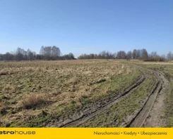 SGLIPU353 - zdjęcie nr 0