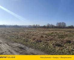 SGLIPU353 - zdjęcie nr 2