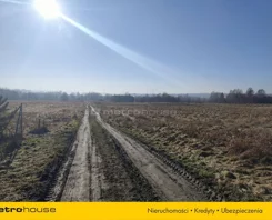 SGLIPU353 - zdjęcie nr 3
