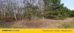 SGCAVY208 - zdjęcie nr 0