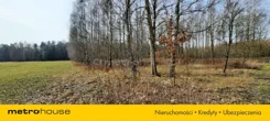 SGCAVY208 - zdjęcie nr 2