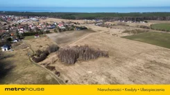 SGMITE973 - zdjęcie nr 0
