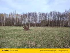 PAZE639 - zdjęcie nr 4