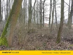 RELU265 - zdjęcie nr 3