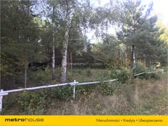 LYDI271 - zdjęcie nr 3