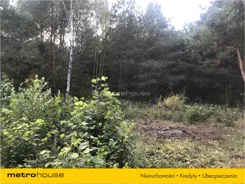 LYDI271 - zdjęcie nr 4