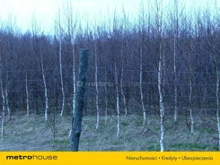JOLE549 - zdjęcie nr 4