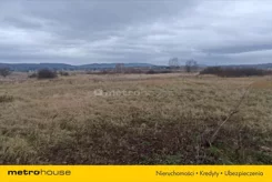 SINA319 - zdjęcie nr 2