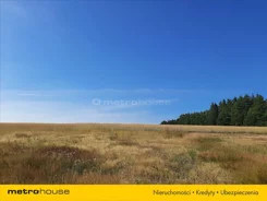 ZYLI328 - zdjęcie nr 4