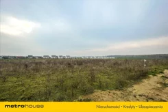 NETI501 - zdjęcie nr 1