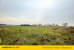 BEWO100 - zdjęcie nr 2