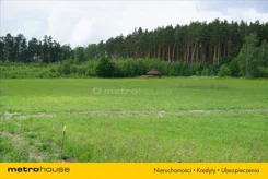 GAJU290 - zdjęcie nr 2