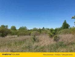 SGDADU541 - zdjęcie nr 2