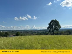 SGJILI524 - zdjęcie nr 3