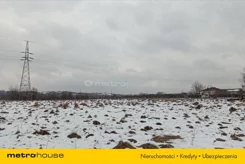 FYLI333 - zdjęcie nr 2