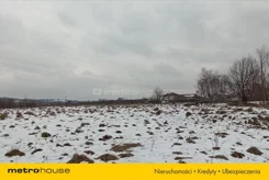 FYLI333 - zdjęcie nr 3
