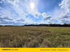 SGZAFU332 - zdjęcie nr 1
