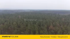 SGRALA134 - zdjęcie nr 1