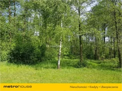 HOMY308 - zdjęcie nr 1