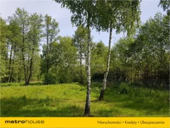 HOMY308 - zdjęcie nr 3