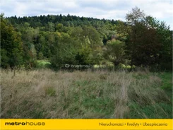 NUBY896 - zdjęcie nr 4