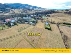 SGLIVO225 - zdjęcie nr 1
