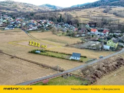 SGLIVO225 - zdjęcie nr 3