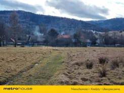 SGLIVO225 - zdjęcie nr 4