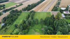 SGDUZA364 - zdjęcie nr 3