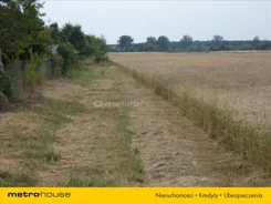 MENY924 - zdjęcie nr 0