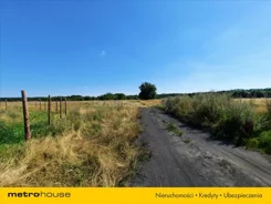 LINO905 - zdjęcie nr 3