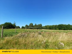 TOSA165 - zdjęcie nr 2