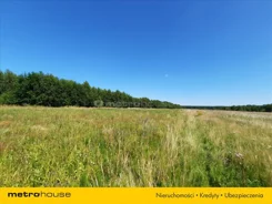 TOSA165 - zdjęcie nr 3