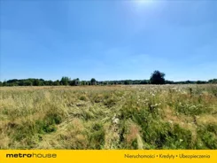 TOSA165 - zdjęcie nr 4
