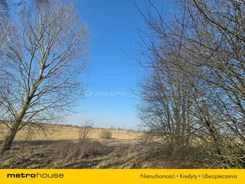 SGVOKO290 - zdjęcie nr 4