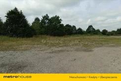DALY256 - zdjęcie nr 0