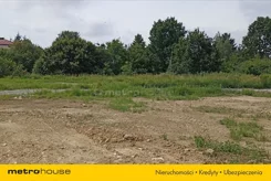 DALY256 - zdjęcie nr 2