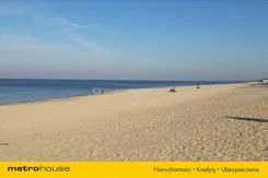NYFO230 - zdjęcie nr 3