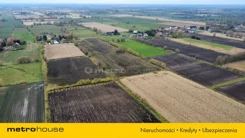 SGLULO409 - zdjęcie nr 0