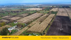 SGNEGA296 - zdjęcie nr 3