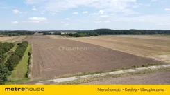 SGLOTA695 - zdjęcie nr 1