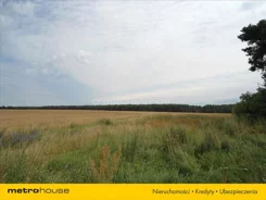 DATA295 - zdjęcie nr 2